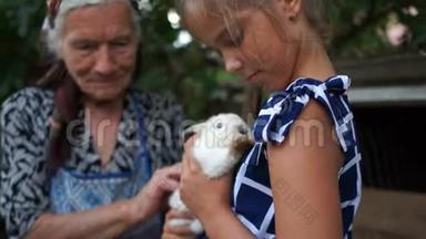 一个女孩手里拿着一只<strong>小白兔</strong>。 附近是她的祖母。 暑假快乐